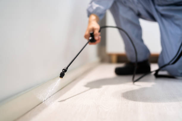 Licensed Bed Bug Control service in Hughes County County, OK - Nex Pest Control
