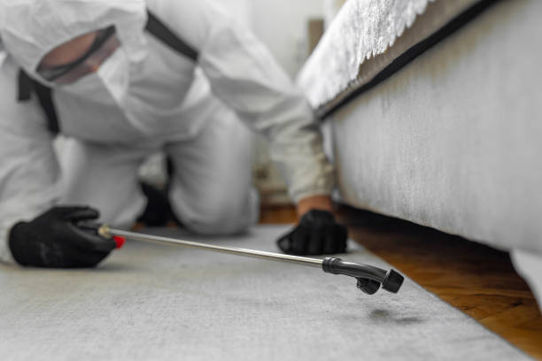 Professional Bed Bug Control technician working in Hughes County County, OK